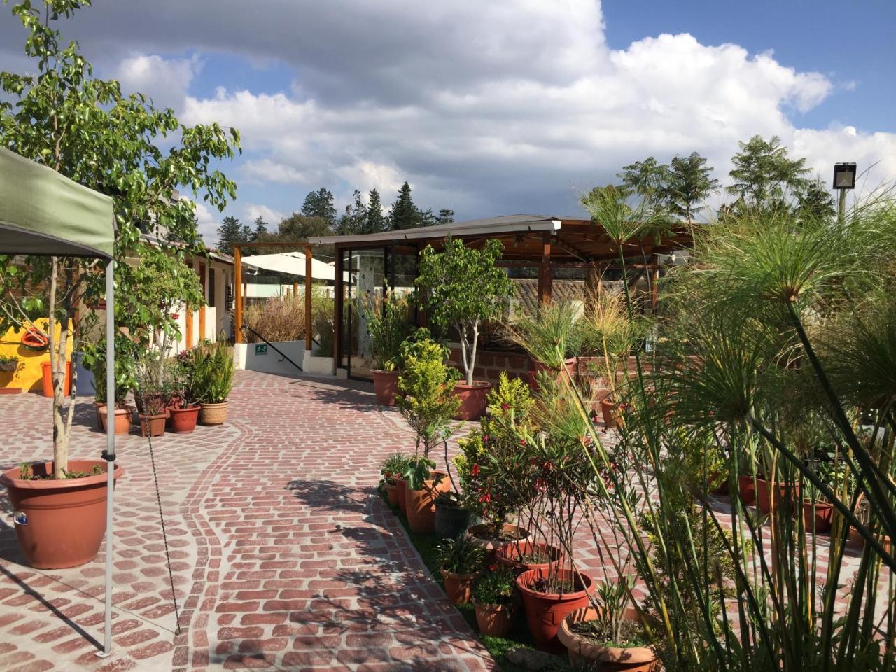Quito Terrace Hostel Exterior photo
